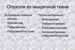Опухоли из мышечной ткани
