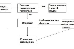 Лечение рака молочной железы