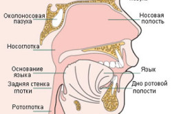 Схема рака носоглотки
