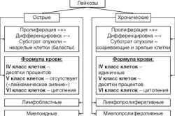 Классификация лейкозов по патогенезу
