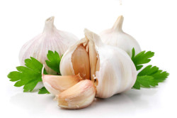 Чеснок — продукт питания, рак лёгких не лечит