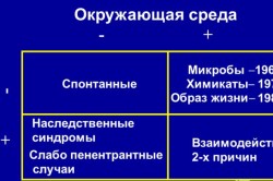 Причины возникновения рака